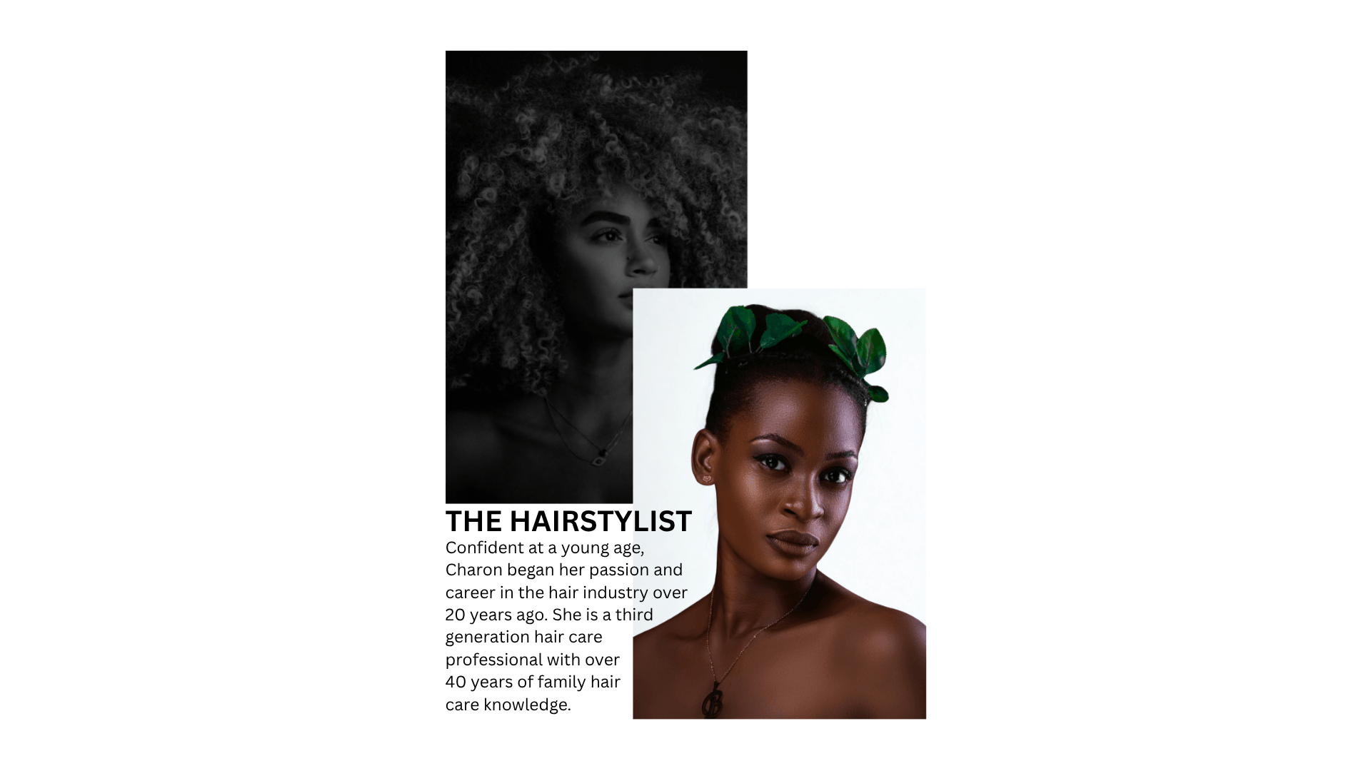 Hair Styling Background